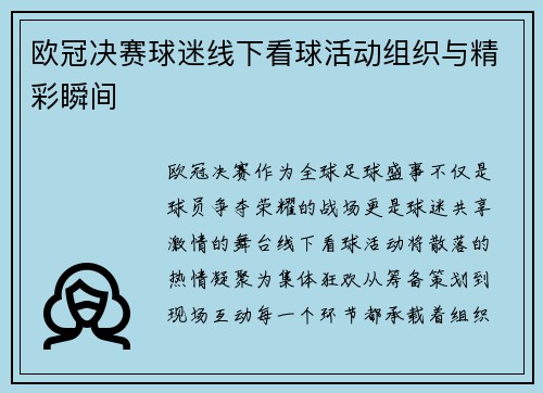 欧冠决赛球迷线下看球活动组织与精彩瞬间